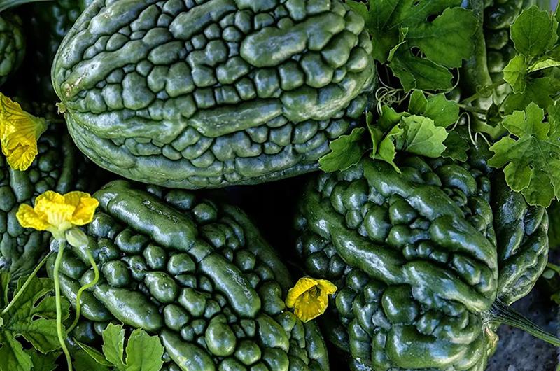 bitter, bitter melon